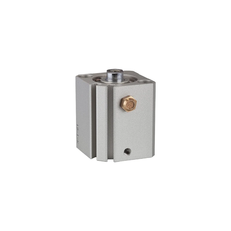 RIEGLER ASQ 115180-12.EM.25005 Short Stroke Cylinder Single Acting Piston Diameter 25 Stroke 5 M5 x 0.8 Pack of 1