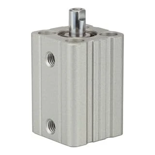 RIEGLER ACQ 115049-12.DMI.12010 Double Action Short Lifting Cylinder with Piston, Diameter 12, Stroke 10, M5 x 0.8, Pack of 1