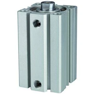 RIEGLER ACQ 115099-12.DMI.32025 Short Stroke Cylinder Double-Acting Piston Diameter 32 Stroke 25 G 1/8 Pack of 1