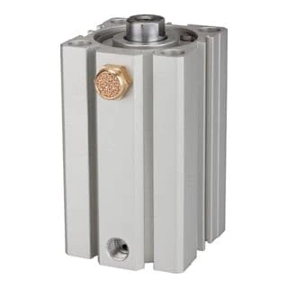 RIEGLER ASQ 115187-12.EM.32010 Short Stroke Cylinder Single Acting Piston Diameter 32 Stroke 10 G 1/8 Pack of 1