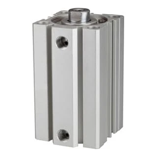 RIEGLER ACQ 115132-12.DMI.50050 Short Stroke Cylinder Double-Acting Piston Diameter 50 Stroke 50 G 1/4 Pack of 1