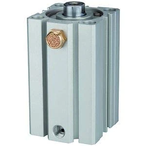 RIEGLER ASQ 115197-12.EM.40030 Short Stroke Cylinder Single Acting Piston Diameter 40 Stroke 30 G 1/8 Pack of 1