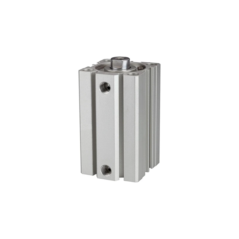 RIEGLER 115044-12.DMI.100060 Short Stroke Cylinder "ACQ" Double-Acting Piston Diameter 100, Stroke 60, G 3/8, Pack of 1