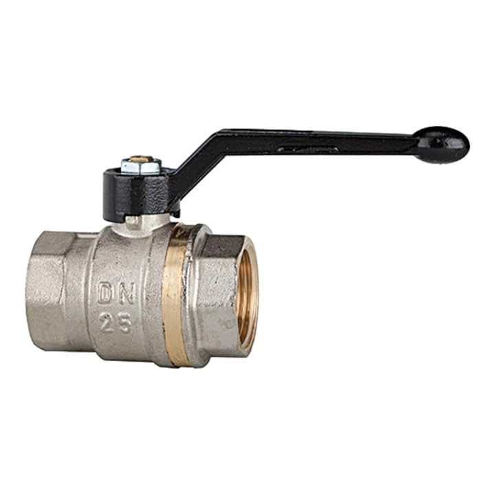 RIEGLER 103132-330.11 Ball Valve, Light Version, Full Bore, IG/IG, MS ver, G 3, Pack of 1