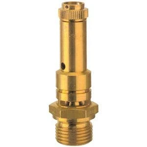 RIEGLER 152123-226.01-0.36 Safety Valve DN 8 Brass G 1/4 Response Pressure 0.36 Bar Pack of 1
