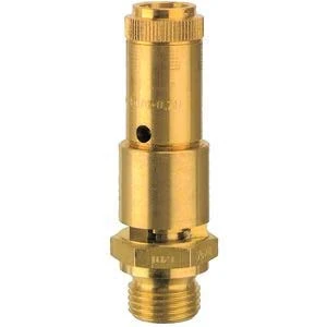 RIEGLER 150307-227.55-49,0 Full Stroke Safety Valve DN 10, MS, G 1/2, Response Pressure 49 bar, 1 piece