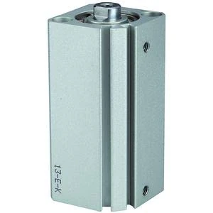 RIEGLER ACQ 115072-12.DMI.20030 Short Stroke Cylinder Double-Acting Piston Diameter 20 Stroke 30 M5 x 0.8 Pack of 1