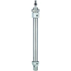 RIEGLER 114815-11.DM.12200 Round Cylinder "MI" Double-Acting Piston Diameter 12, Stroke 200, M5 x 0.8, Pack of 1