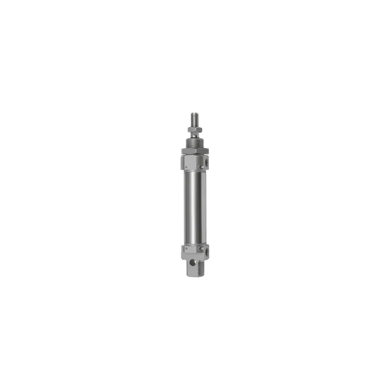 RIEGLER 105806-1.DMD.20050 Round Cylinder, Double-Action, Magnet, Piston Diameter 20, Stroke 50, G 1/8, Pack of 1