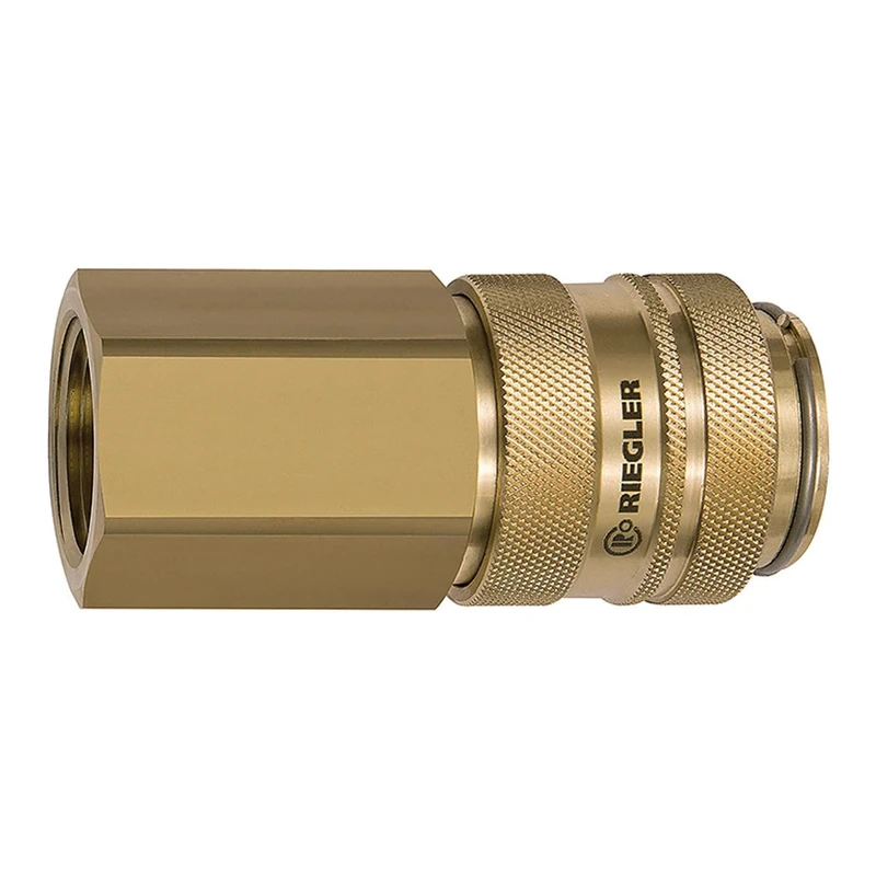 RIEGLER 141564-419.04 NW 19 Quick Release Fitting Bare Brass G 3/4 IG