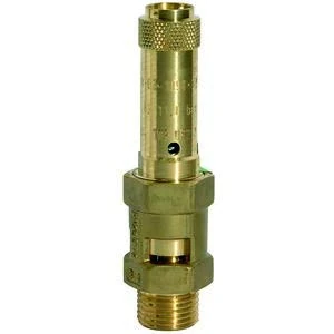 RIEGLER 117723-229.03-11.5 Safety Valve, Brass, G 1, Response Pressure 11.5 Bar, Pack of 1