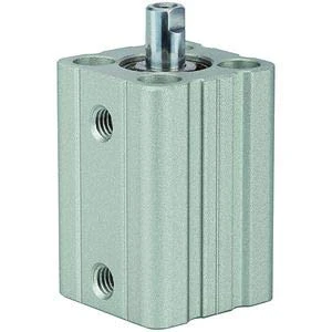 RIEGLER ACQ 115056-12.DMI.12050 Short Stroke Cylinder Double-Acting Piston Diameter 12 Stroke 50 M5 x 0.8 Pack of 1