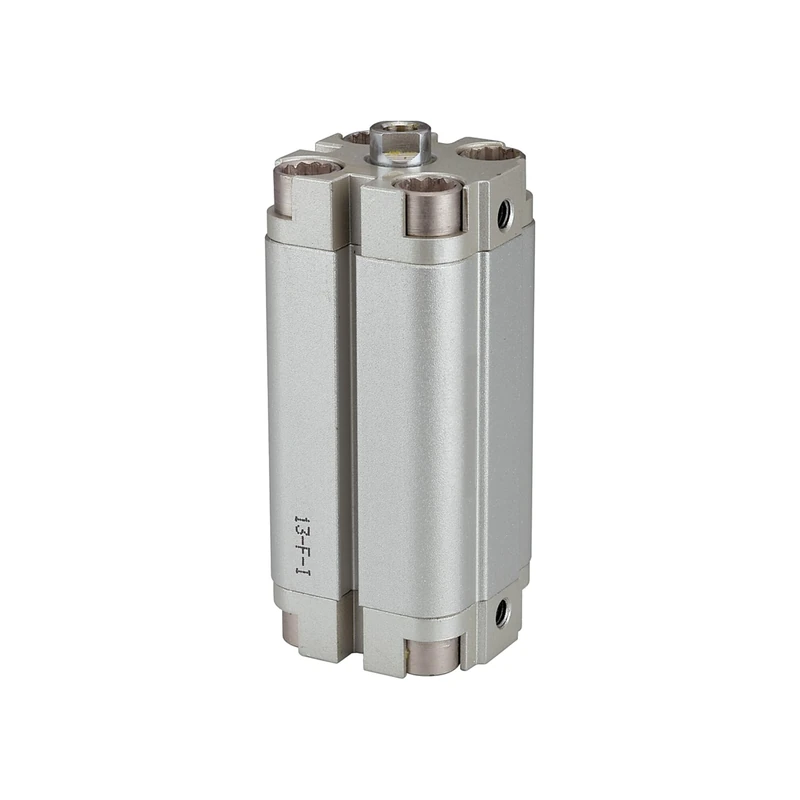 RIEGLER ACP 115358-13.DM.50010 Compact Cylinder Double-Acting Piston Diameter 50 Stroke 10 G 1/8 Pack of 1