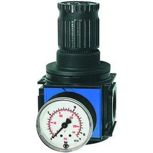 RIEGLER 149217-VRP 33 Variobloc Precision Pressure Regulator BG 1, G 3/8, 0.2-6 bar, 1 Piece