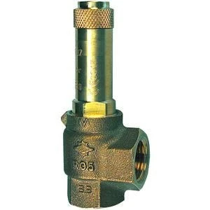 RIEGLER 117645-222.08-2.0 Corner Safety Valve, Saturated Steam, G 2, Contact Pressure 2 Bar, Pack of 1