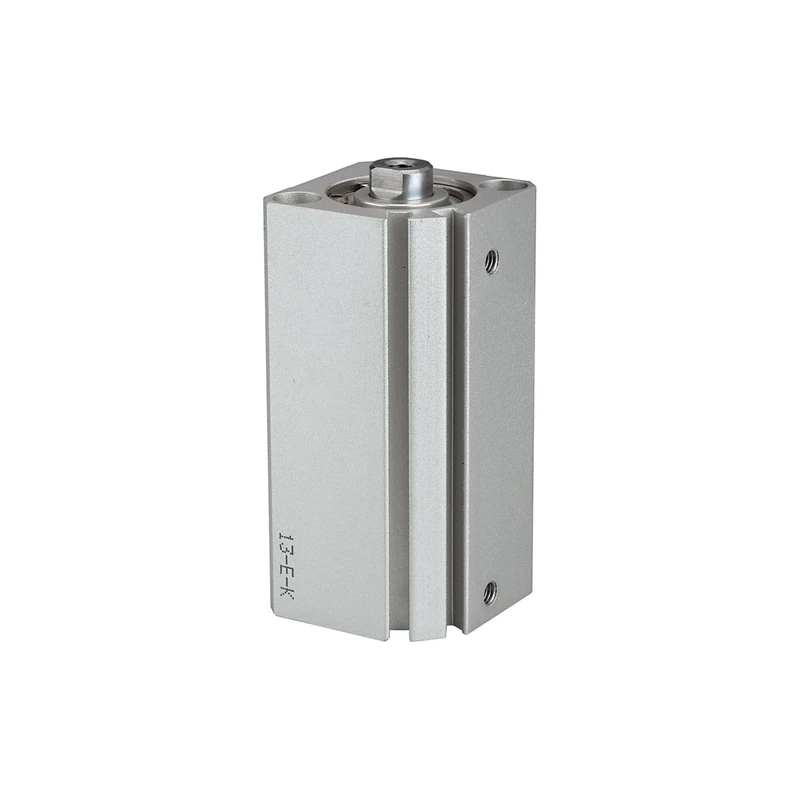RIEGLER ACQ 115069-12.DMI.20010 Short Stroke Cylinder Double-Acting Piston Diameter 20 Stroke 10 M5 x 0.8 Pack of 1