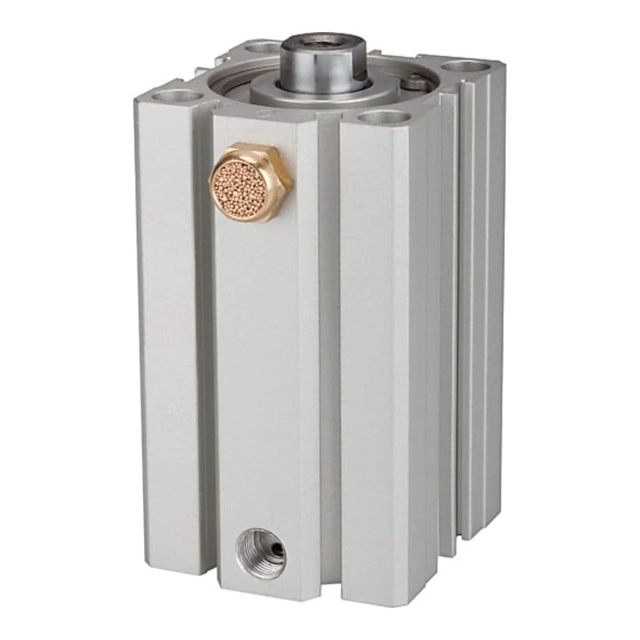 RIEGLER ASQ 115190-12.EM.32025 Short Stroke Cylinder Single Acting Piston Diameter 32 Stroke 25 G 1/8 Pack of 1