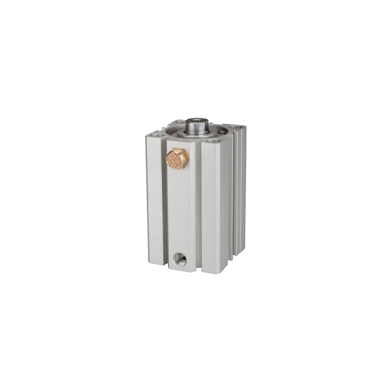 RIEGLER ASQ 115189-12.EM.32020 Short Stroke Cylinder Single Acting Piston Diameter 32 Stroke 20 G 1/8 Pack of 1