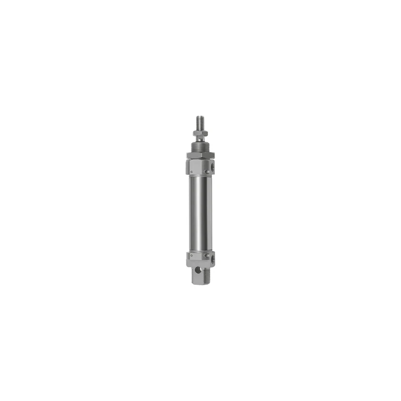 RIEGLER 105818-1.DMD.25125 Round Cylinder, Double-Action, Magnet, Piston Diameter 25, Stroke 125, G 1/8, Pack of 1