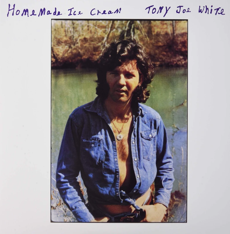 Homemade Ice Cream [VINYL]