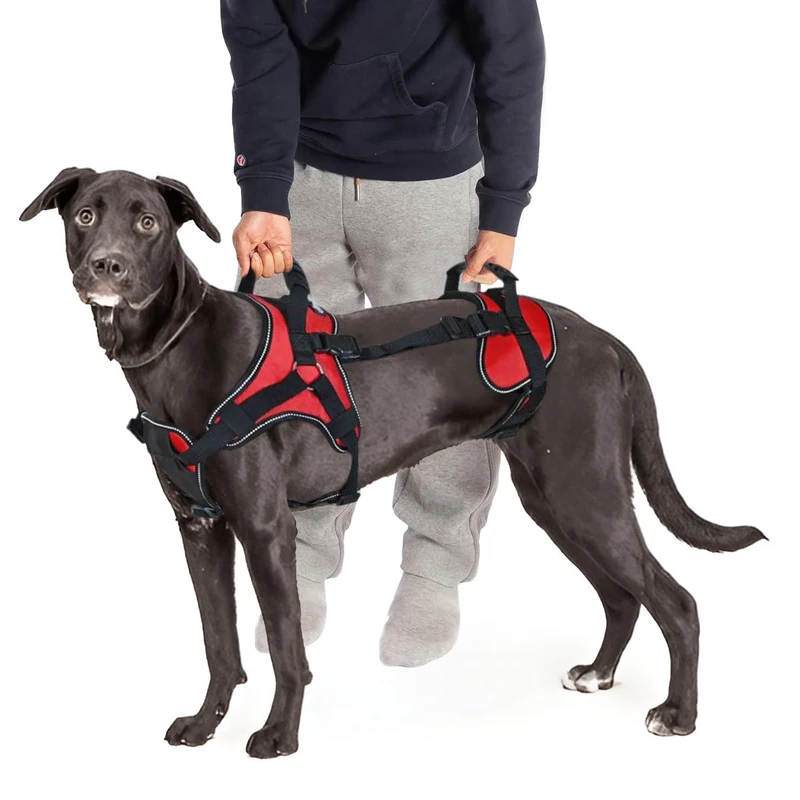 Doggie Stylz Multi-Functional Full-Body Lifting Dog Harness Vest, Designed for Front-Only, Rear-Only or Full-Body Dog Lifting. Please Measure Your Dog Before Ordering.