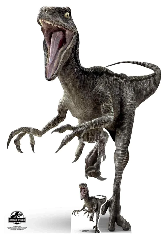 Star Cutouts SC1280 Raptor Blue Jurassic World Dinosaur Cardboard Cutout – Ideal for Jurassic Park Parties, Birthdays, Fans & Events