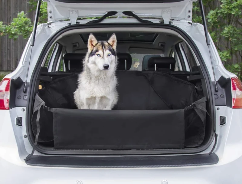 Nobby 60903 Protective Car Boot Cover W x D: 155 x 121 cm