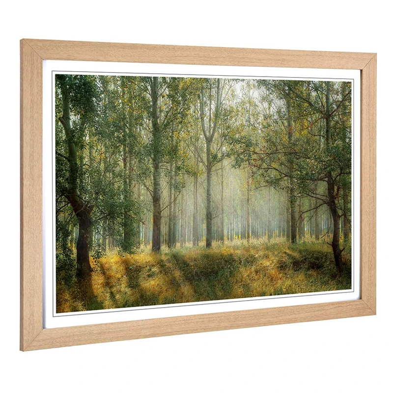 Big Box Art Framed Print of Landscape Forest Woodland View in The Spring Design | Wall Art Picture | Home Decor for Kitchen, Living Room, Bedroom, Hallway, Oak, A2 / 24.5x18 Inch / 62x45cm