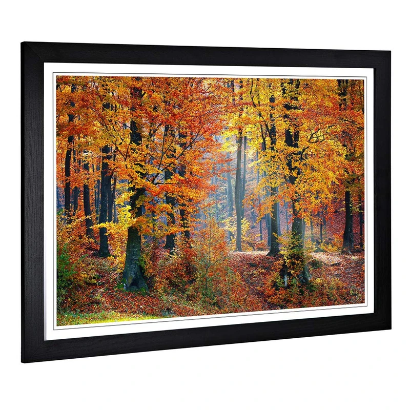 Big Box Art Framed Print of Landscape Forest in The Autumn Design | Wall Art Picture | Home Decor for Kitchen, Living, Dining Room, Bedroom, Hallway, Office, Black, A2 / 24.5x18 Inch / 62x45cm