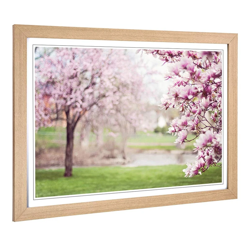 Big Box Art Framed Print of Landscape Magnolia Blossom Tree Design | Wall Art Picture | Home Decor for Kitchen, Living Room, Bedroom, Hallway, Oak, A2 / 24.5x18 Inch / 62x45cm