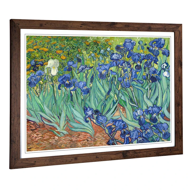 Big Box Art Framed Print of Vincent Van Gogh Iris Irises Flowers Design | Wall Art Picture | Home Decor for Kitchen, Living Room, Bedroom, Hallway, Walnut, A2 / 24.5x18 Inch / 62x45cm