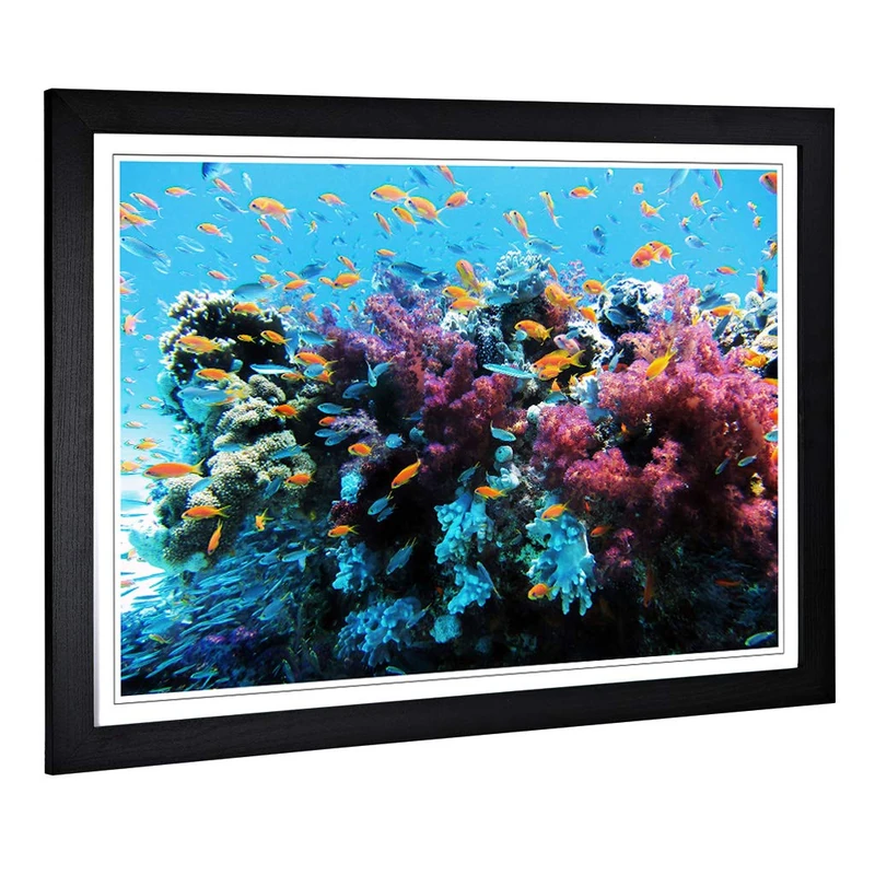 Big Box Art Framed Print of Coral Reef Fish Design | Wall Art Picture | Home Decor for Kitchen, Living, Dining Room, Lounge, Bedroom, Hallway, Office, Black, A2 / 24.5x18 Inch / 62x45cm