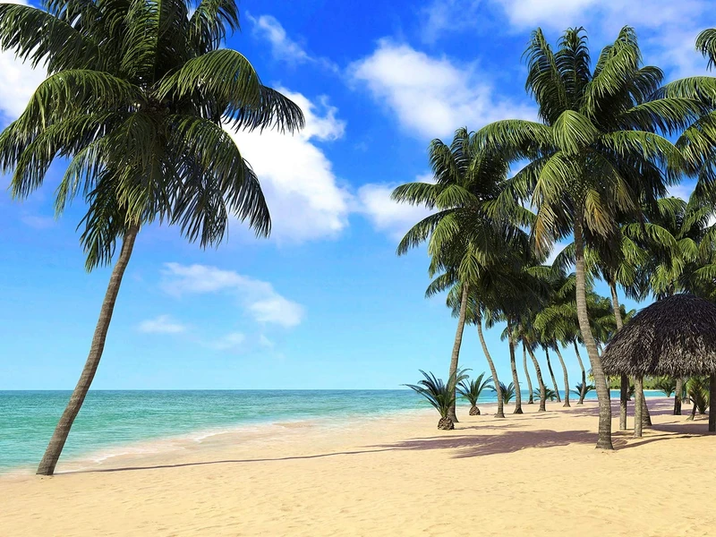 AG Design Photo Wallpaper, Giant Wall Poster, Eco ink, Multicolor, 360x270 cm/142x106 inches