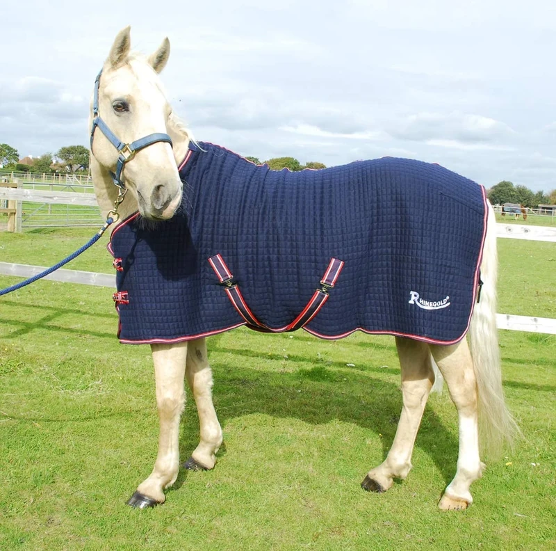 Rhinegold Celltex Cooler Rug