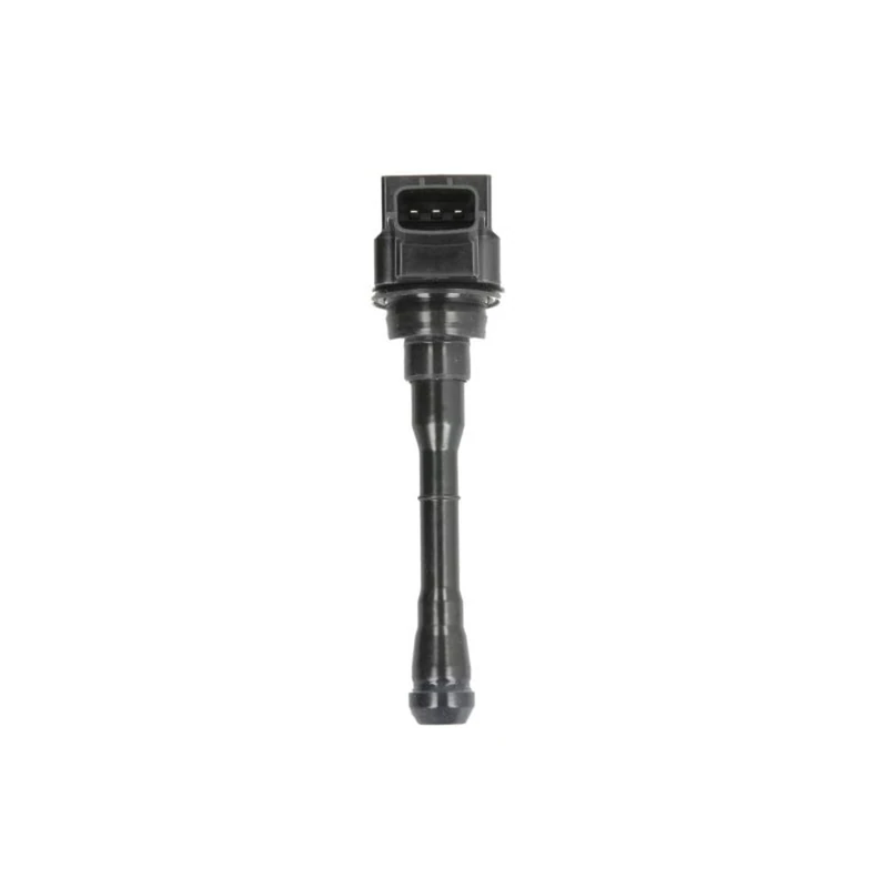Delphi GN10614-12B1 - Ignition Coil