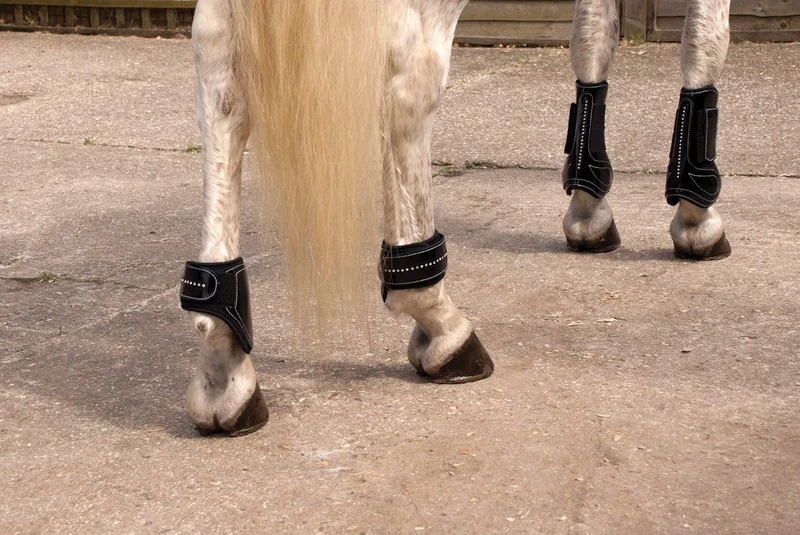Rhinegold Patent/Crystal Tendon & Fetlock Boot Set-Cob-Black