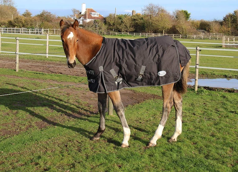 Rhinegold Konig 200g 600D Pony/Foal Outdoor Turnout Rug in Black 4.3, Black