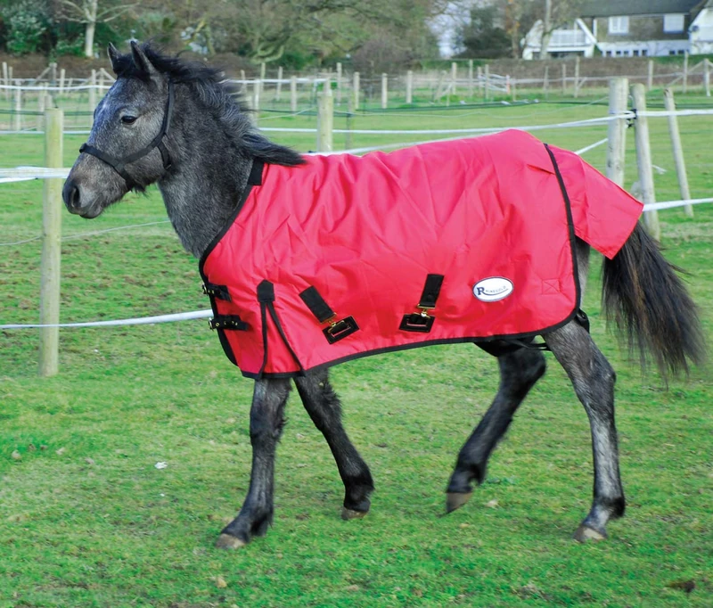 Rhinegold Foal Konig Outdoor Rug, 3'9", Red