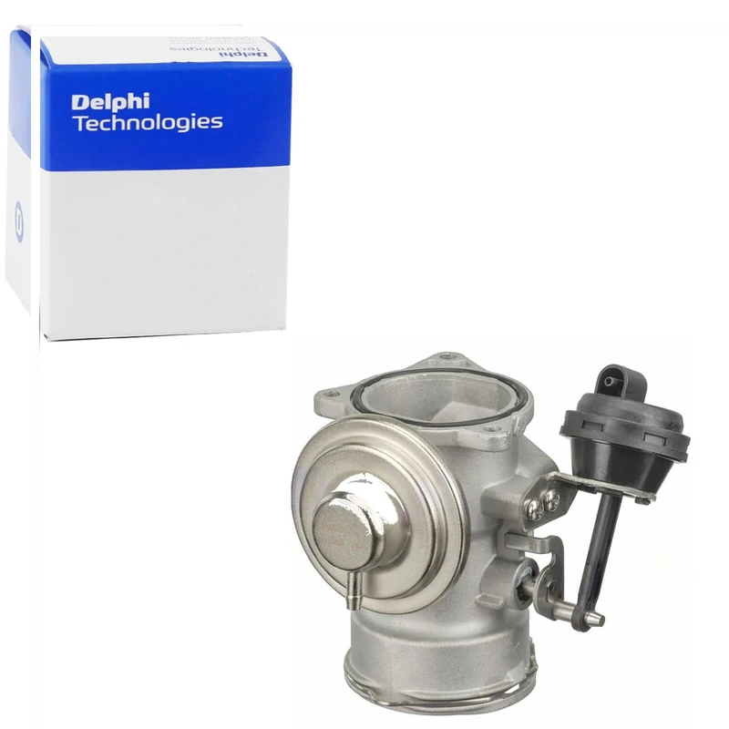 Delphi EG10409-12B1 Agr Valve