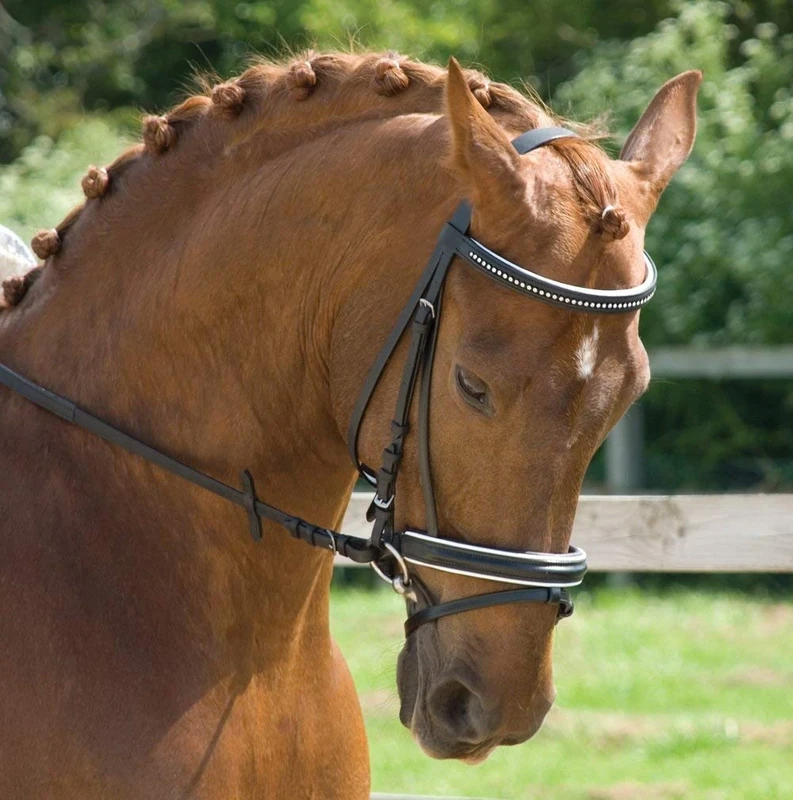 Rhinegold German Leather Swarovski Crystal Bridle With Flash Noseband