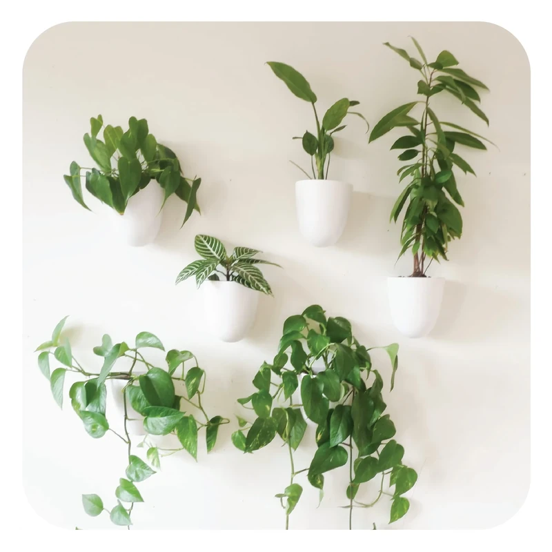 Make Good Virgo Self-Watering Wall Planters (Set of 6) - Lightweight and Easy to Install - Design Your Own Vertical Garden - Melamine Plastic - Image 1