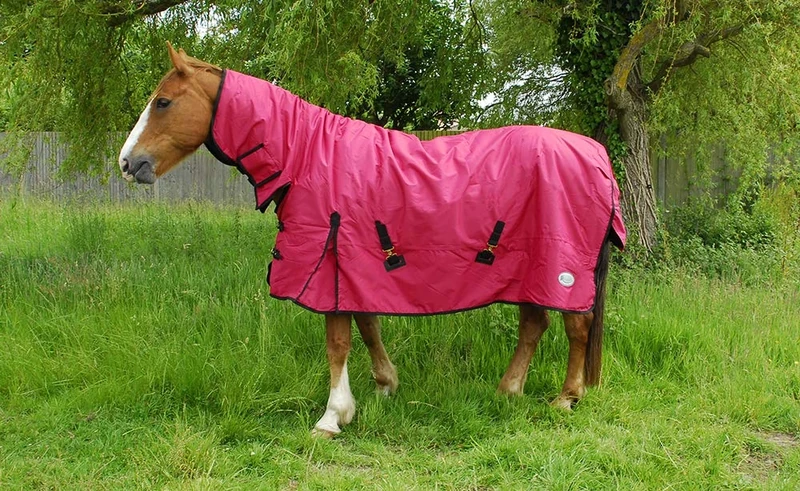 Rhinegold Full Neck Konig - Mediumweight 200gsm polyfill,Red,5'3"