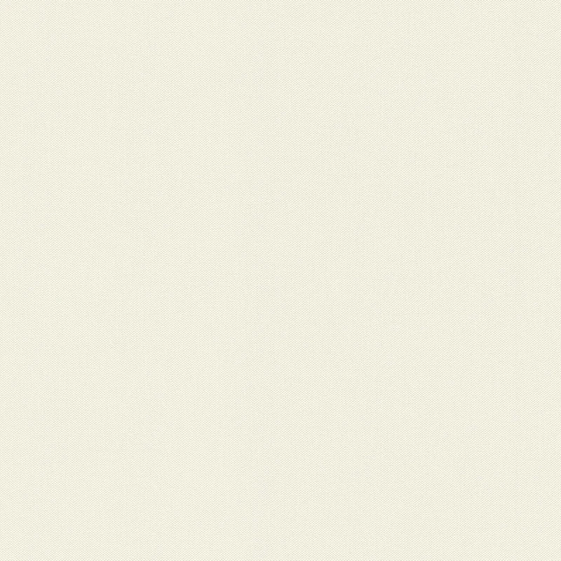 Rasch Tapeten Vliestapete (Universell) Creme White 10, 05 m x 0, 53 m Poetry 424010