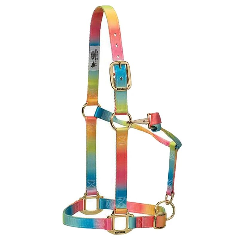 Weaver Leather Polyester Rainbow Adjustable Chin and Throat Snap Halter, 1" Small Horse