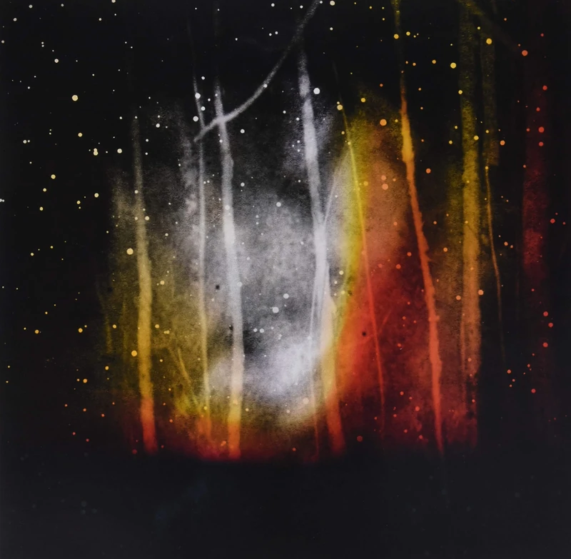 Dances on Walls [VINYL]