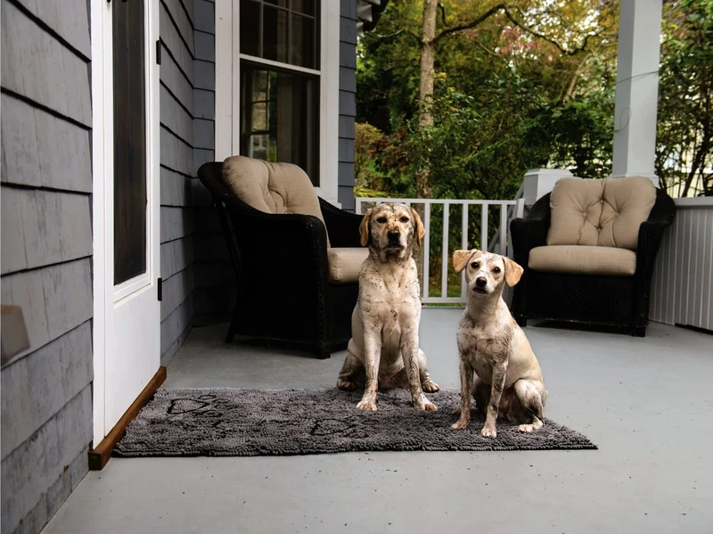 Beeztees DGS Dirty Dog Runner Doormat Length 152 cm Width 76 cm Grey