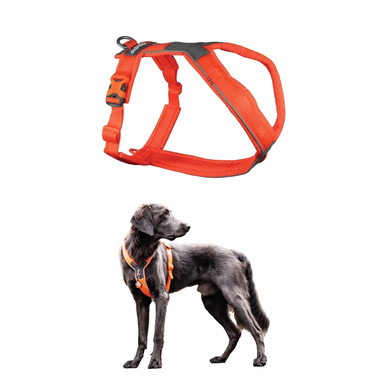 Nonstop Line Harness, Chest Harness, Guide Harness for Dogs, Adjustable Size (5, Orange)
