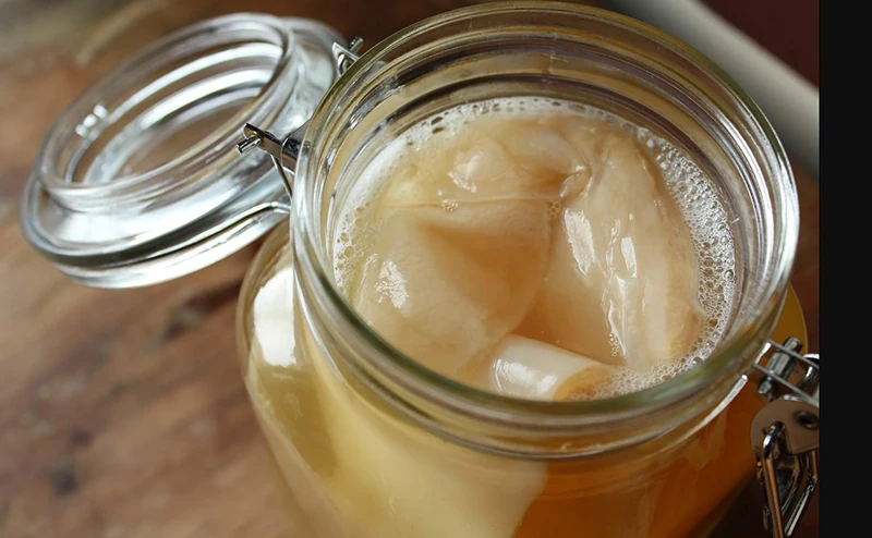 1 X Organic Kombucha Scoby - Live Culture by Scoby Kombucha - Image 1
