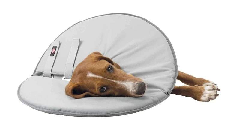 TRIXIE Protective Collar, Large/X-Large, 53-56 cm/27 cm, Grey