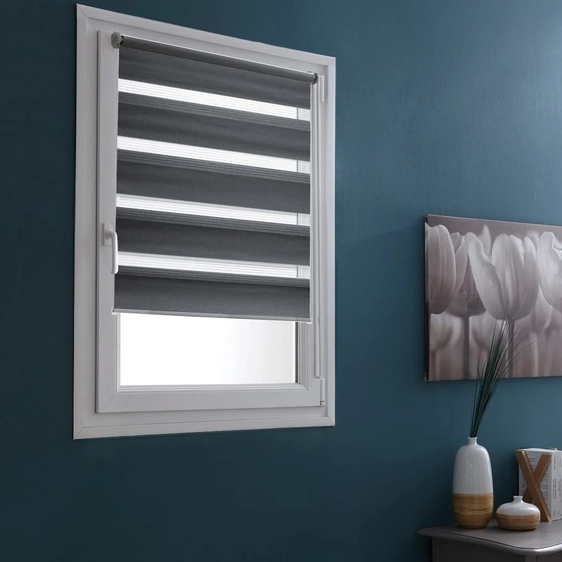 MADECOSTORE Day and Night Double Roller Blind, Anthracite, L 123 x H 250 cm, Attachment with or without Drilling, Matching Chain